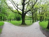 park_31