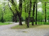 park_36