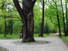 park_37